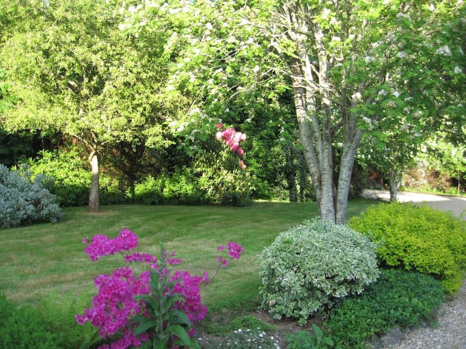 Self Catering Apartment At Beechwalk House. Enniskerry Exterior photo