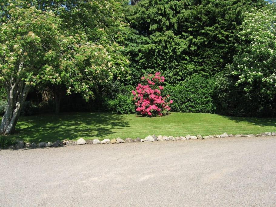 Self Catering Apartment At Beechwalk House. Enniskerry Exterior photo